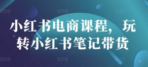 小红书电商课程，玩转小红书笔记带货-小毅网创