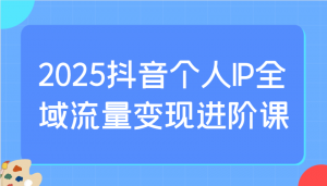 2025抖音个人IP全域流量变现进阶课：选爆品、抖音付费投流、千川投流实操及优化等-小毅网创