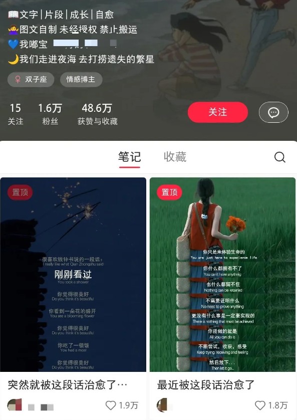 小红书治愈文案图文笔记，零门槛，一分钟制作轻松制作爆款作品月入万元 - 小毅网创-小毅网创