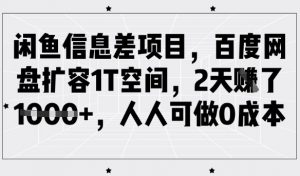 闲鱼信息差项目，百度网盘扩容1T空间，2天收益1k+，人人可做0成本-小毅网创