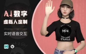 Ai数字人虚拟(智能体)实时语音交互特训营，​自行定制超写实角色AI数字人交互技术-小毅网创