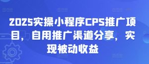 2025实操小程序CPS推广项目，自用推广渠道分享，实现被动收益-小毅网创