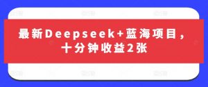 最新Deepseek+蓝海项目，十分钟收益2张-小毅网创