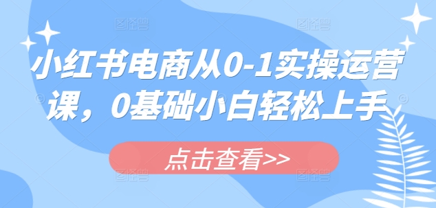 小红书电商从0-1实操运营课，0基础小白轻松上手 - 小毅网创-小毅网创