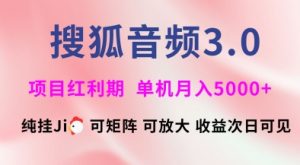 搜狐音频挂ji3.0.可矩阵可放大,独家技术,稳定月入5000+【揭秘】-小毅网创