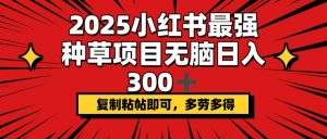 2025小红书最强种草项目，无脑日入300+，复制粘帖即可，多劳多得-小毅网创