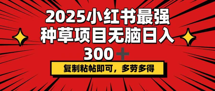 2025小红书最强种草项目，无脑日入300+，复制粘帖即可，多劳多得 - 小毅网创-小毅网创