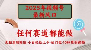 2025年视频号新风口，低门槛只需要无脑执行-小毅网创