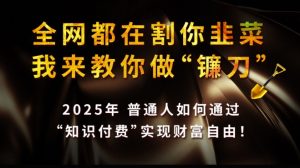 全网都在割你韭菜，我来教你做镰刀,2025普通人如何通过知识付费，实现财F自由【揭秘】-小毅网创