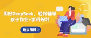用好DeepSeek,轻松辅导孩子作业+学科规划-小毅网创