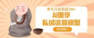 AI国学私域运营模型，单号月变现过W-小毅网创