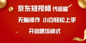 京东短视频代运营，全程喂饭，小白轻松上手【揭秘】-小毅网创