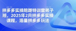 拼多多实操陪跑特训营弟子班，2025年2月拼多多实操课程，海量拼多多玩法-小毅网创