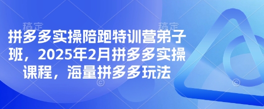 拼多多实操陪跑特训营弟子班，2025年2月拼多多实操课程，海量拼多多玩法 - 小毅网创-小毅网创