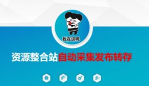 资源整合站自动采集发布转存，解放双手-小毅网创