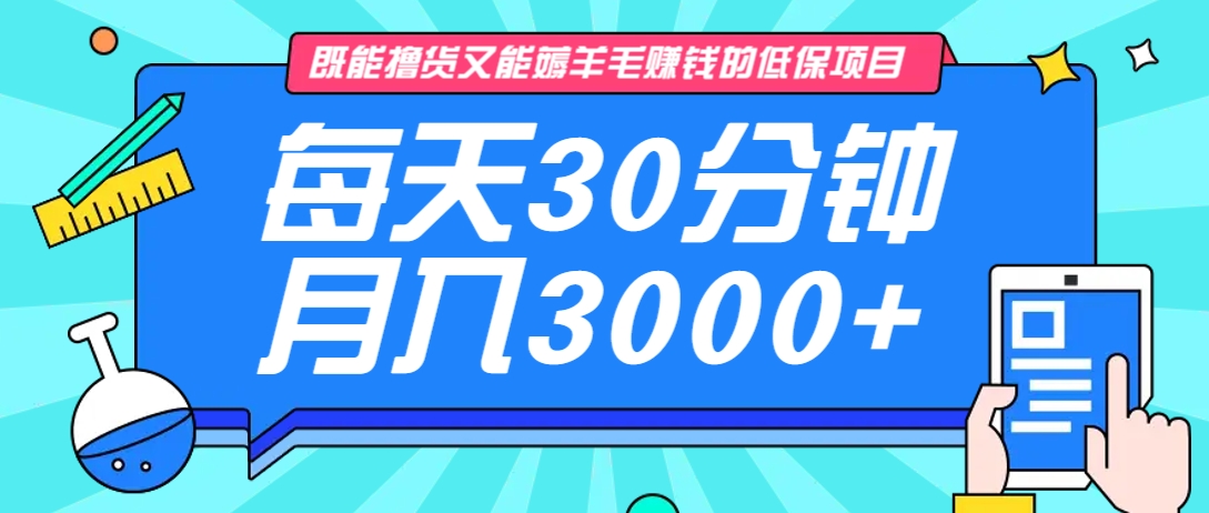 既能撸货又能赚钱的长期低保项目,每天30分钟,多号百分百稳定月入3000+! - 小毅网创-小毅网创
