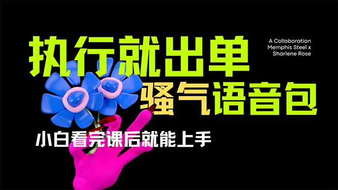 爆火全网的开车导航骚气语音包,只要执行就出单，小白看完课程就能实操... - 小毅网创-小毅网创