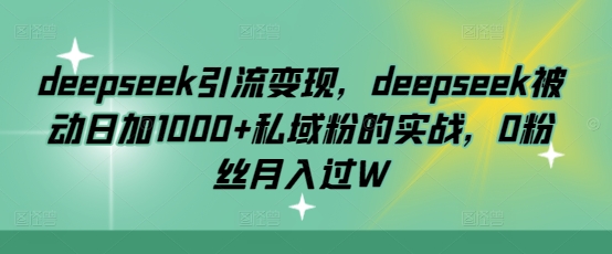 deepseek引流变现，deepseek被动日加1000+私域粉的实战，0粉丝月入过W - 小毅网创-小毅网创