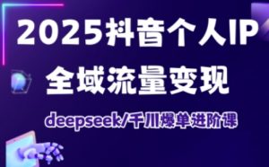 2025抖音个人IP全域流量变现进阶课，deepseek千川爆单进阶课-小毅网创