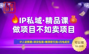 2025年“IP私域·密训精品课”，日赚3000+小白避坑年赚百万，暴力引流...-小毅网创