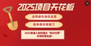 2025项目天花板普通人如何通过知识付费，实现财F自由【揭秘】-小毅网创
