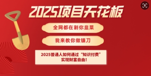 2025项目天花板普通人如何通过知识付费,实现财F自由【揭秘】 - 小毅网创-小毅网创