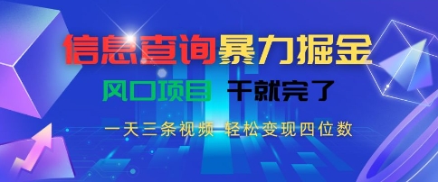 信息查询暴力掘金，一天三条视频，轻松变现四位数，风口项目干就完了【揭秘】 - 小毅网创-小毅网创