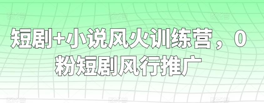 短剧+小说风火训练营，0粉短剧风行推广 - 小毅网创-小毅网创