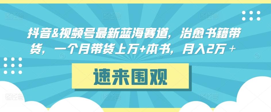 抖音&视频号最新蓝海赛道，治愈书籍带货，一个月带货上万+本书，月入2万＋【揭秘】 - 小毅网创-小毅网创