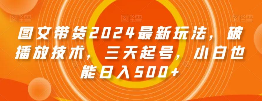 图文带货2024最新玩法，破播放技术，三天起号，小白也能日入500+【揭秘】-小毅网创