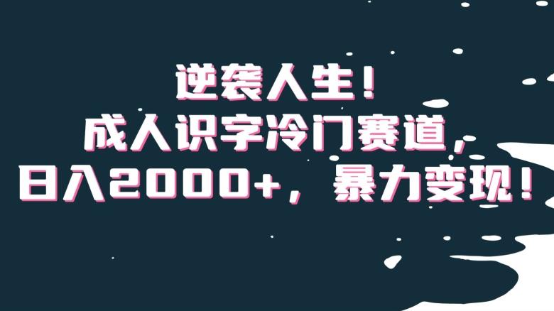 逆袭人生！成人识字冷门赛道，日入2000+，暴力变现！【揭秘】 - 小毅网创-小毅网创