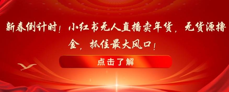 新春倒计时！小红书无人直播卖年货，无货源撸金，抓住最大风口【揭秘】 - 小毅网创-小毅网创