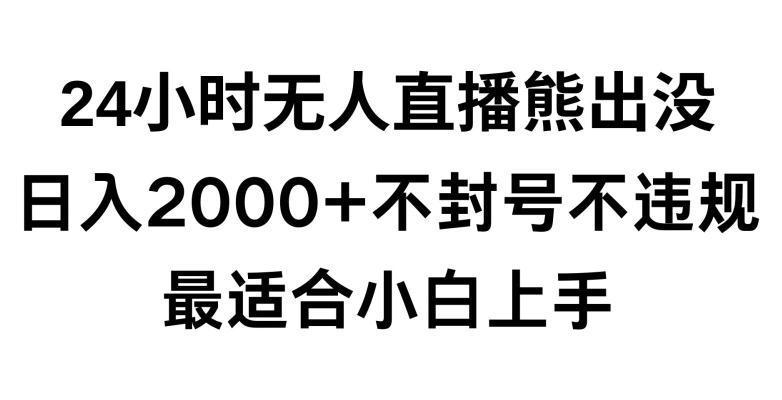 快手24小时无人直播熊出没，不封直播间，不违规，日入2000+，最适合小白上手，保姆式教学【揭秘】 - 小毅网创-小毅网创