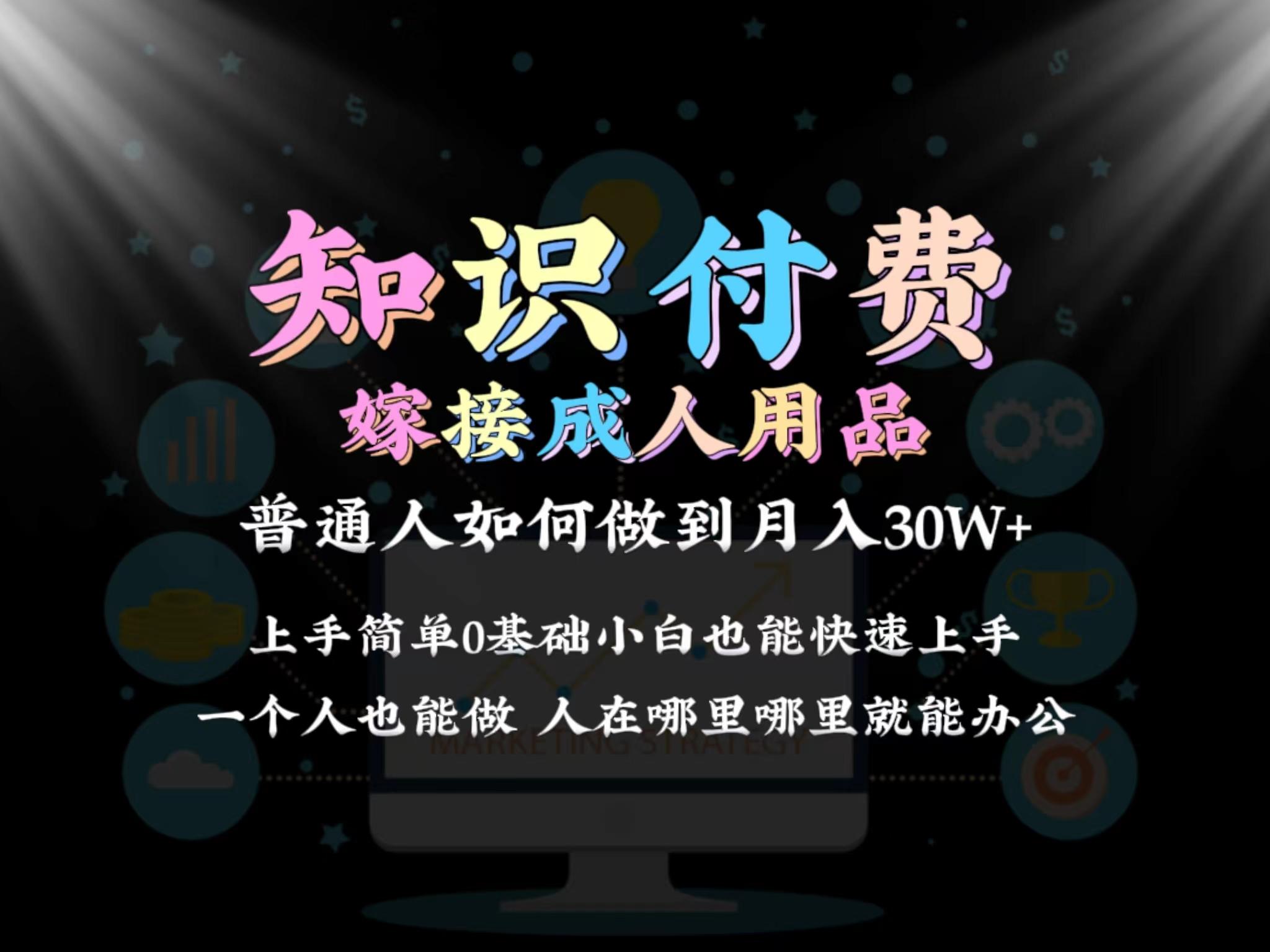 2024普通人做知识付费结合成人用品如何实现单月变现30w 保姆教学1.0 - 小毅网创-小毅网创