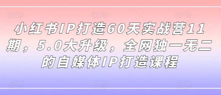 小红书IP打造60天实战营11期，5.0大升级，全网独一无二的自媒体IP打造课程-小毅网创