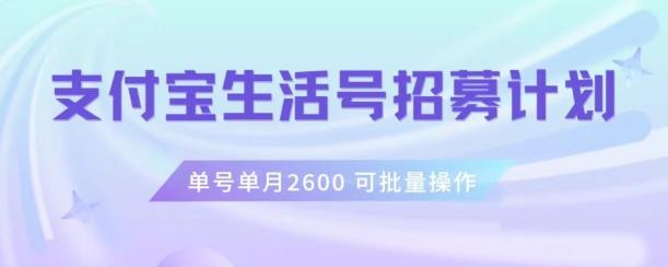 支付宝生活号作者招募计划，单号单月2600，可批量去做，工作室一人一个月轻松1w+【揭秘】-小毅网创