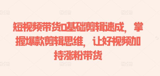 短视频带货0基础剪辑速成，掌握爆款剪辑思维，让好视频加持涨粉带货 - 小毅网创-小毅网创