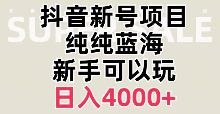 抖音蓝海赛道，必须是新账号，日入4000+【揭秘】 - 小毅网创-小毅网创