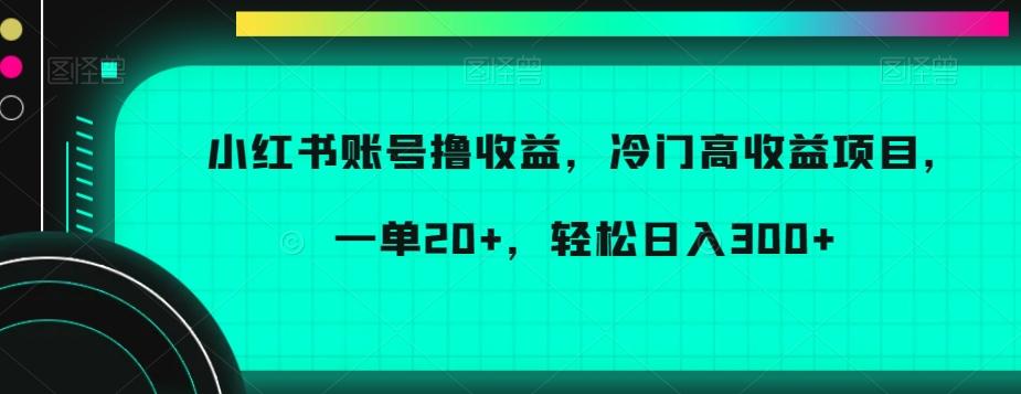 小红书账号撸收益，冷门高收益项目，一单20+，轻松日入300+【揭秘】 - 小毅网创-小毅网创