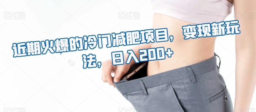 近期火爆的冷门减肥项目，变现新玩法，日入200+ - 小毅网创-小毅网创