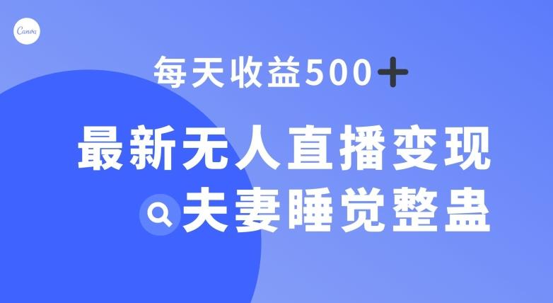 最新无人直播变现，夫妻睡觉整蛊，每天躺赚500+【揭秘】 - 小毅网创-小毅网创