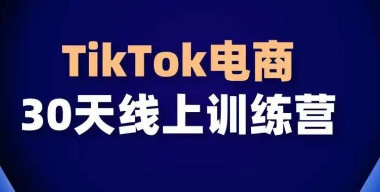 TikTok电商带货30天线上课，不可错过的全球流量洼地！ - 小毅网创-小毅网创
