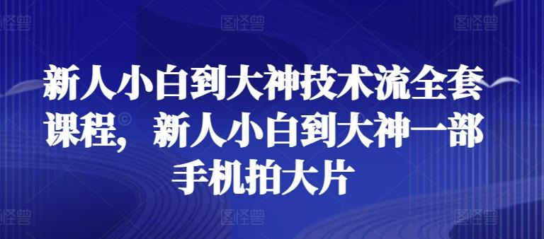 新人小白到大神技术流全套课程，新人小白到大神一部手机拍大片 - 小毅网创-小毅网创