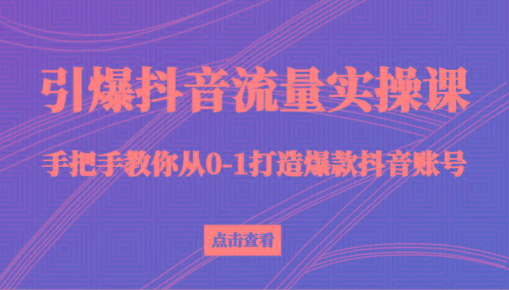 引爆抖音流量实操课，手把手教你从0-1打造爆款抖音账号(27节课) - 小毅网创-小毅网创