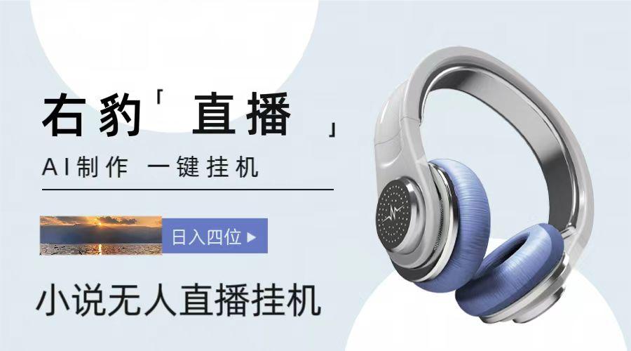 右豹小说无人直播挂机吸金项目，简单易行收益稳定， 月入1000+ - 小毅网创-小毅网创