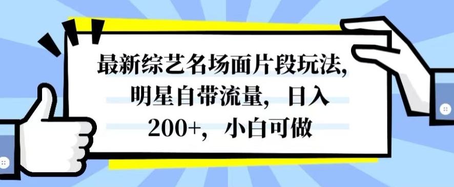 最新综艺名场面片段玩法，明星自带流量，日入200+，小白可做【揭秘】-小毅网创