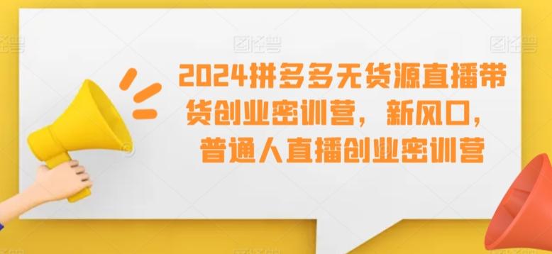 2024拼多多无货源直播带货创业密训营，新风口，普通人直播创业密训营-小毅网创
