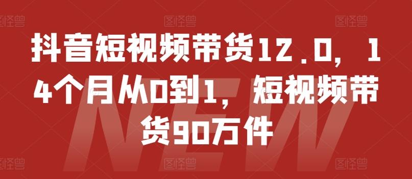 抖音短视频带货12.0，14个月从0到1，短视频带货90万件 - 小毅网创-小毅网创