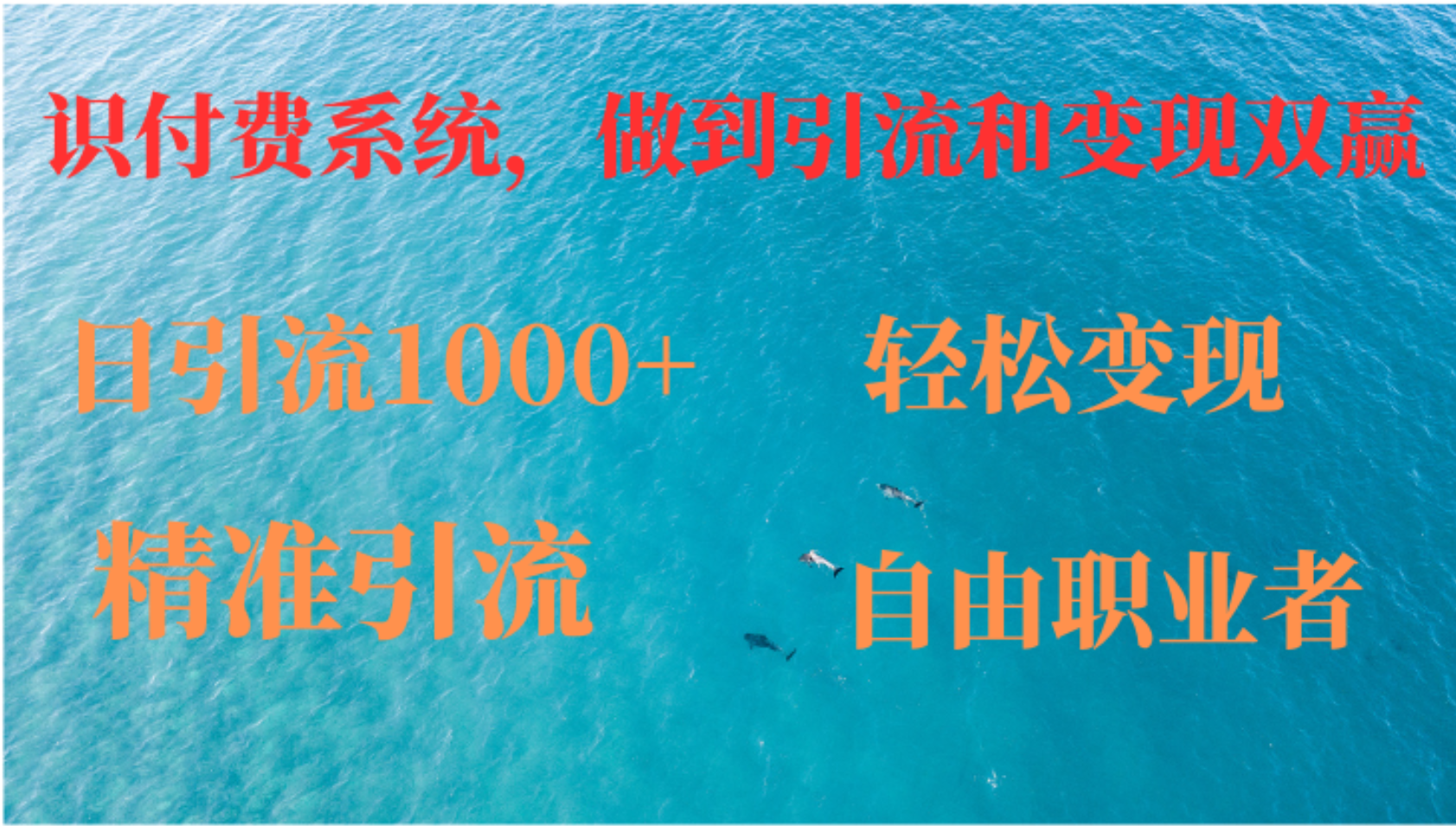 如何搭建自己的知识付费系统，做到引流和变现双赢 - 小毅网创-小毅网创