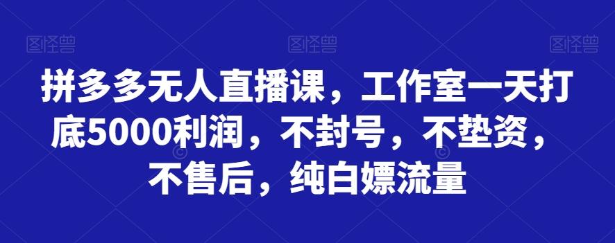拼多多无人直播课，工作室一天打底5000利润，不封号，不垫资，不售后，纯白嫖流量-小毅网创